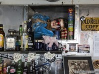 elvis in the blue moon diner