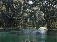 pond close to the drayton hall building