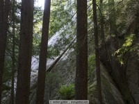 stawamus chief trail