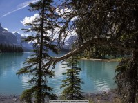 spirit island / lake maligne 