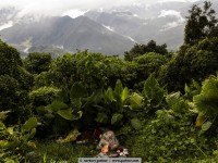 ... often the reality!