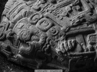 zoomorph „p“  (detail)