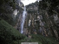 caterata yumbilla / who can see bettina?