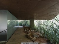 gallery for claudia andujar