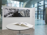 co_work: carolina himmmel / norbert guthier