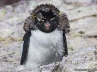 you have to be a mother to love it