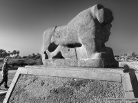 lion figure in babylon