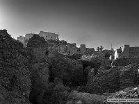 remains of the hanging gardens of samuramis ??