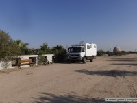 on prof. ali´s farm / kuwait