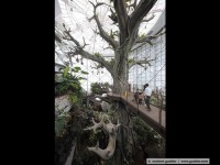 green planet / dubai